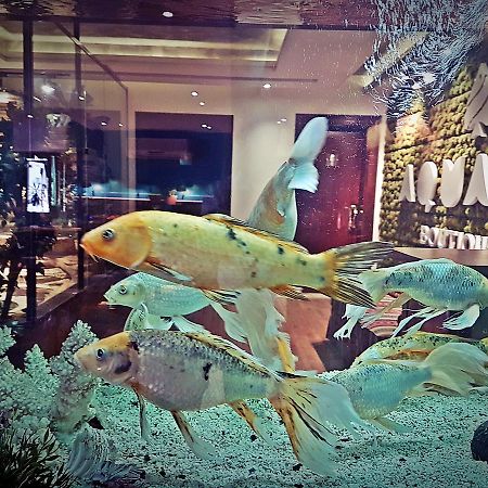 Aquarium Hotel Riade Exterior foto