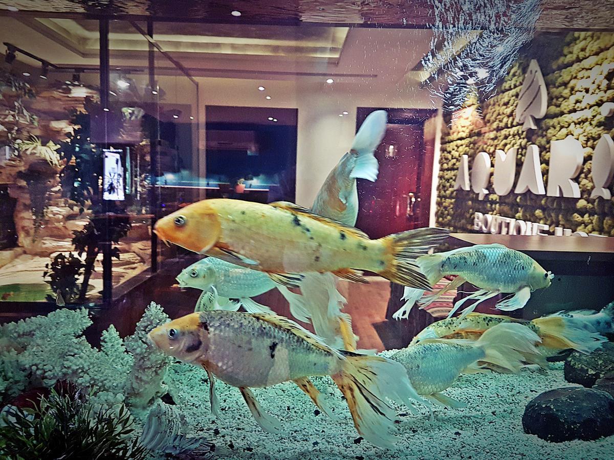 Aquarium Hotel Riade Exterior foto